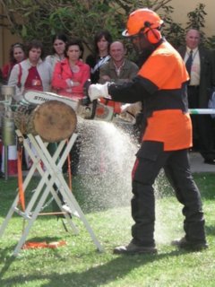 Z DEMOSTRACION (6)